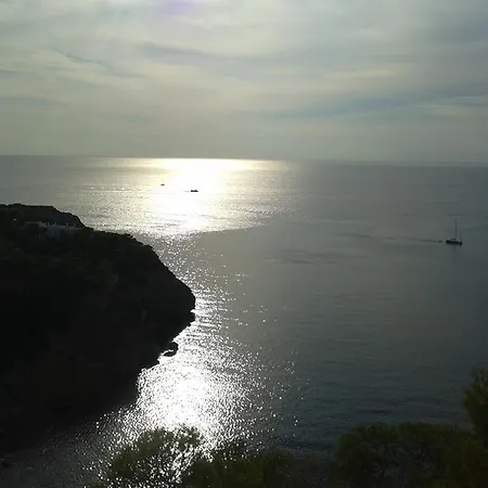 Catamaran Y Velero I Centro De Botel Ibiza città
